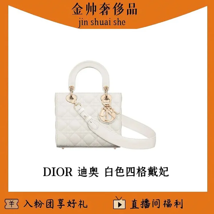 99新 DIOR/迪奥 白金/四格戴妃/手提包/单肩包/B6693