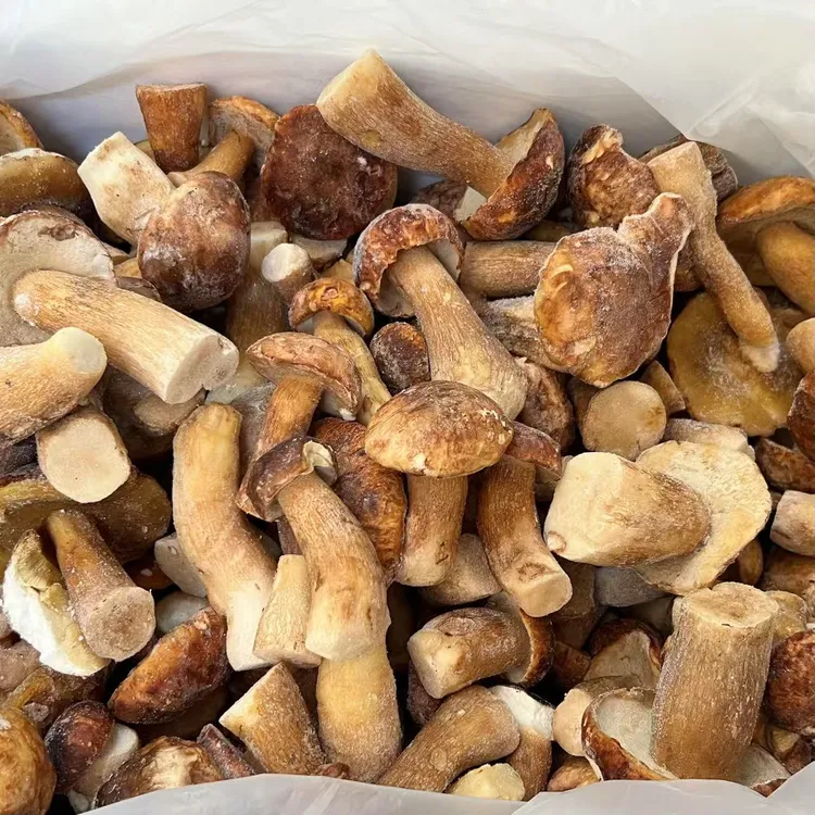 云南特产蘑菇速冻美味牛肝菌农产品