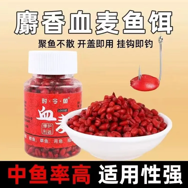 【到手8瓶】麝香血麦麦粒鱼饵四季通用可野钓鲫鱼鲤鱼草鱼打窝挂钩