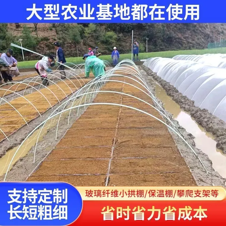 玻璃纤维杆拱棚支架适用于种菜室外搭棚及爬藤支撑菜棚小拱棚支架商品图