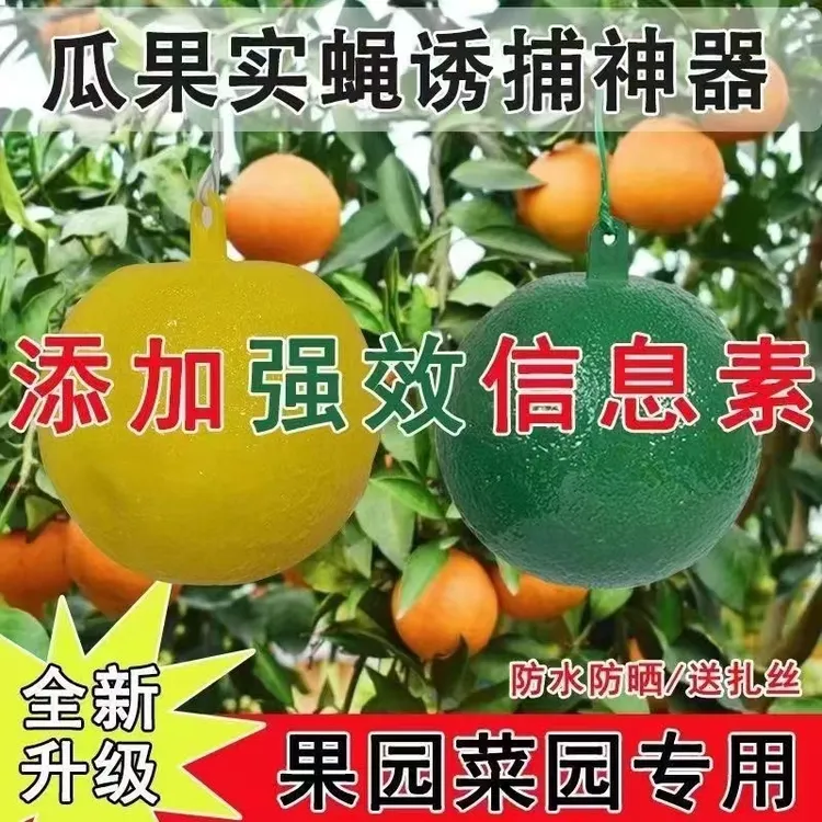诱蝇球柑橘大实蝇瓜果实蝇诱捕器灭果蝇粘虫球板诱虫球针蜂引诱剂