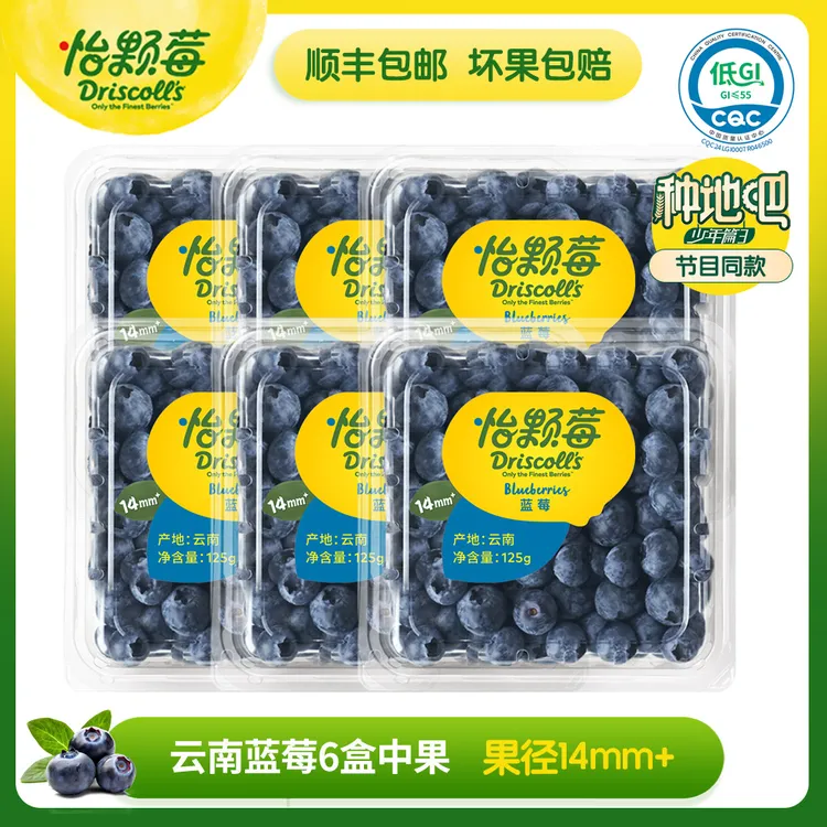 Driscoll's怡颗莓云南蓝莓（中果）6盒*125克/盒 种地吧同款