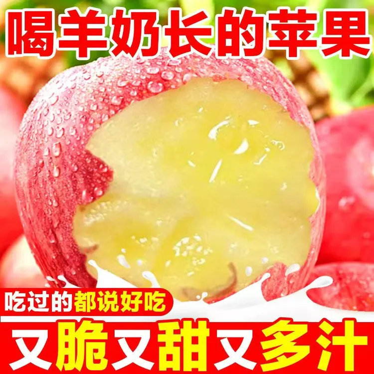 羊奶苹果】山西黄土高坡羊奶苹果脆甜冰糖心新鲜水果红富士苹果