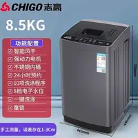 【表哥专属】chigo/ 志高全自动洗衣机家用洗漂脱一体机大容量