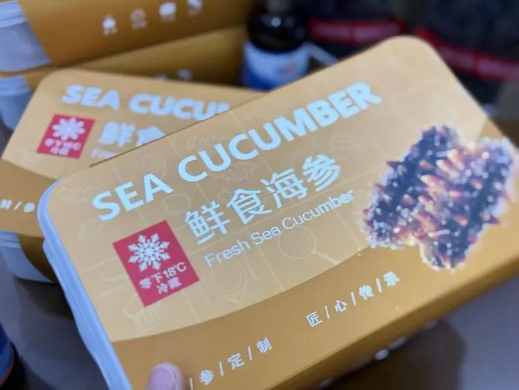 大连辽参鲜活即食海参新鲜刺参一斤独立包装袋礼盒