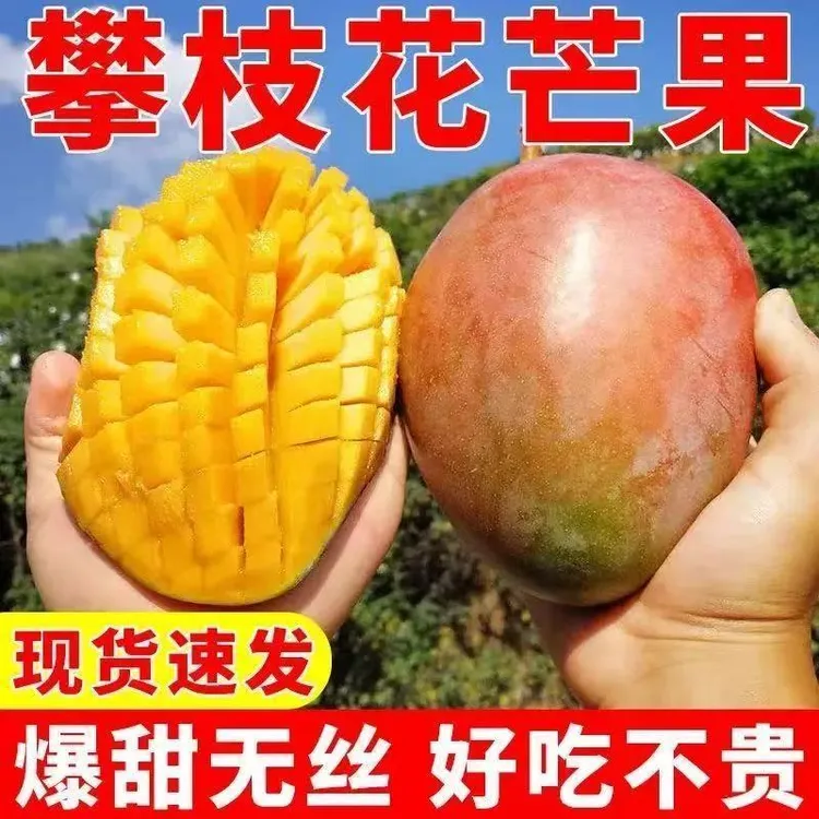 攀枝花凯特芒果特大甜心芒新鲜水果爆甜多汁现摘当季青皮芒果包邮