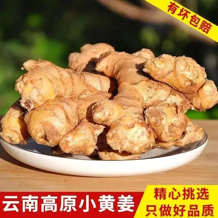 正宗云南小黄姜新鲜现挖老姜嫩姜香辣十足包邮