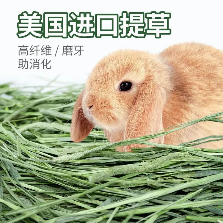 美提新草晒干提摩西草兔草干草草段叶绿食用磨牙兔粮荷兰猪兔粮食