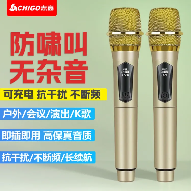 Chigo/志高充电式无线话筒一拖二万能通用麦克风家用K歌手持话筒
