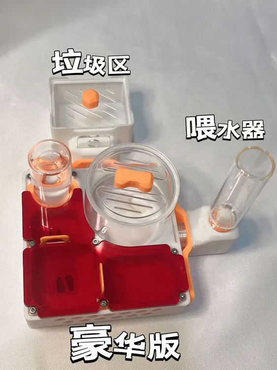 光环蚁巢豪华版+蚂蚁+工具包套餐（送蚂蚁食物）