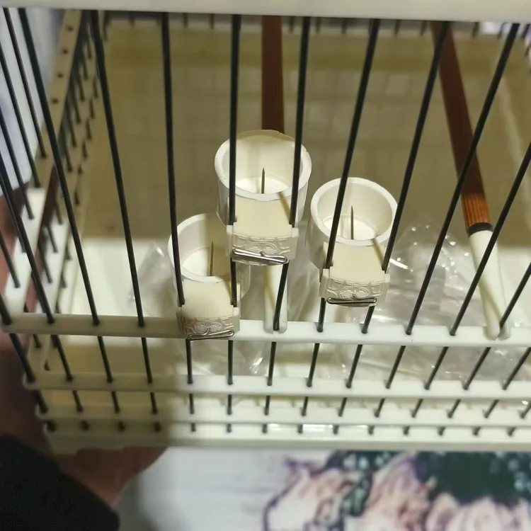 新款多功能蚕蛹食碗可插蚕蛹水果可喂湿料给柳莺改食丝距1.1很好