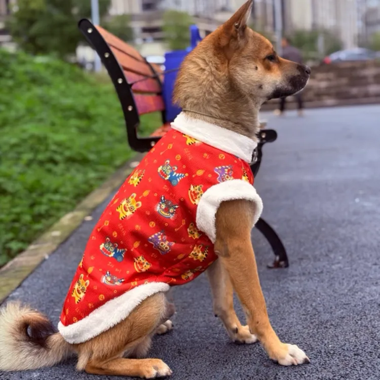 宠物猫狗国风冬季保暖加绒加厚衣服防掉毛棉服大中秋冬款小犬