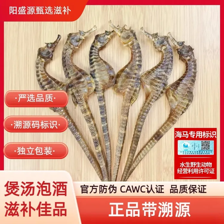正品足干海干货马馬公母搭配可煲汤泡酒做汤料海马泡酒专用