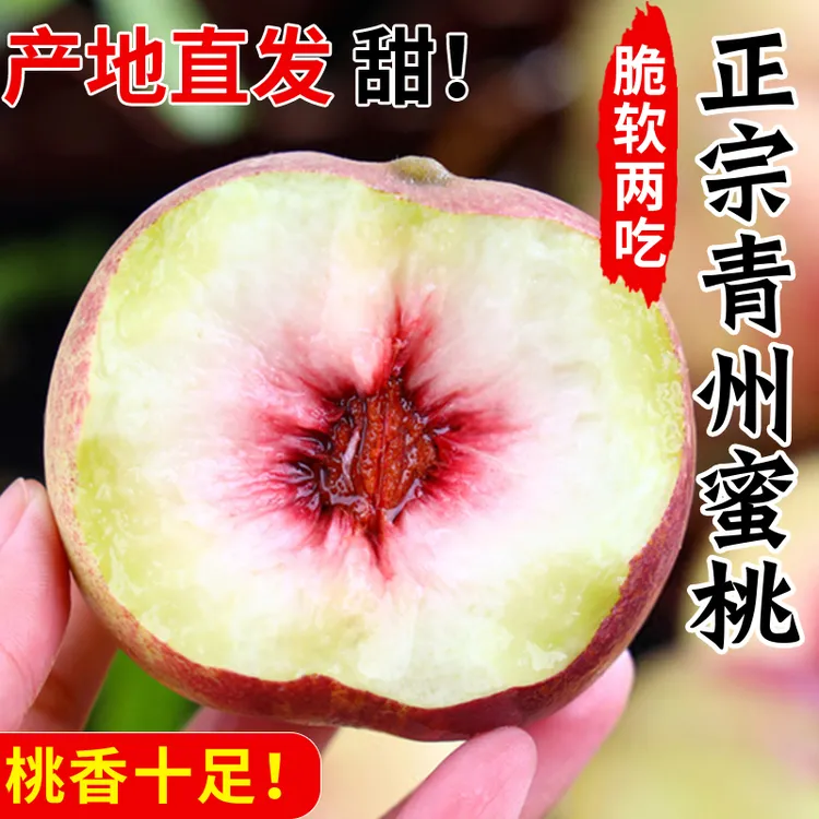 正宗青州水蜜桃毛桃桃子新鲜水果现摘现发正宗脆甜桃子