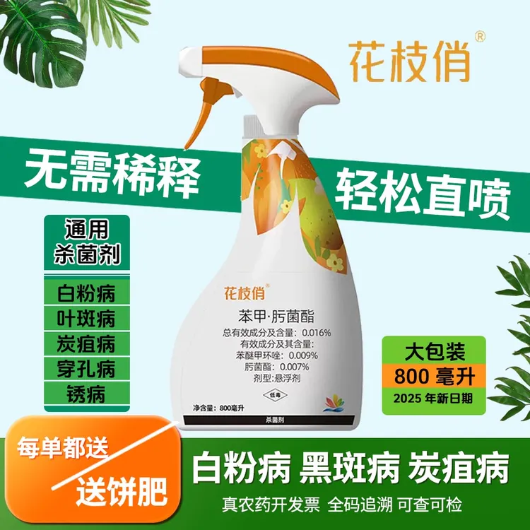 千百季花枝俏植物通用免稀释杀菌剂月季茶花多肉白粉病花药花卉