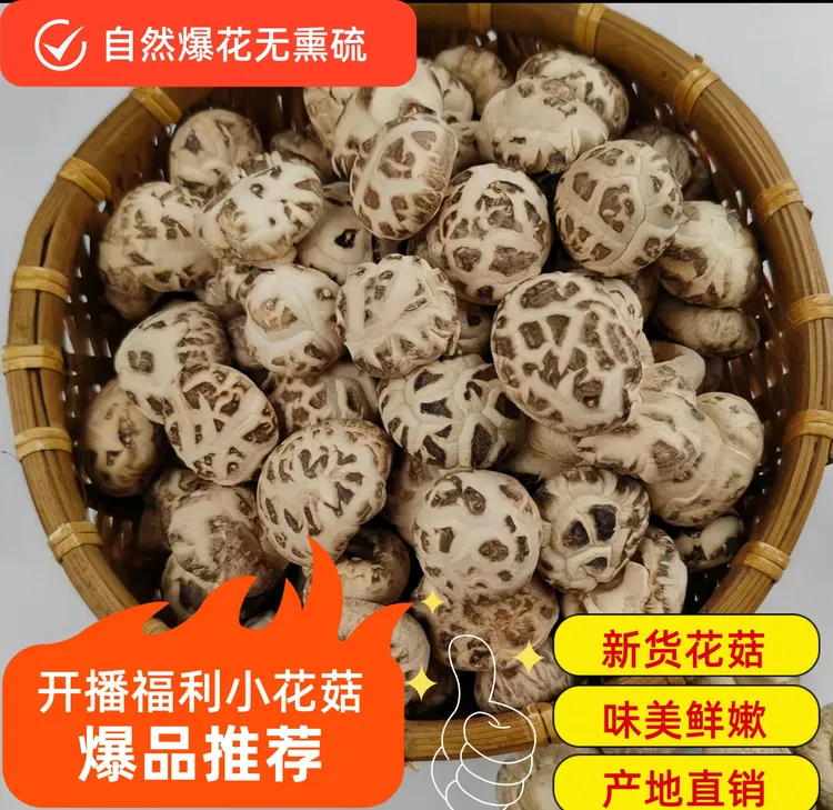 精品小花菇嫩仔菇袖珍菇剪脚无根花菇丁产地直发