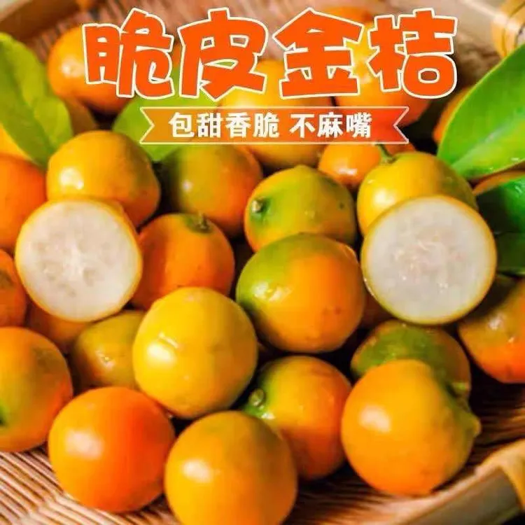 包邮滑皮金桔纯甜广西融安新鲜水果孕妇农家现摘非脆蜜金桔子整箱