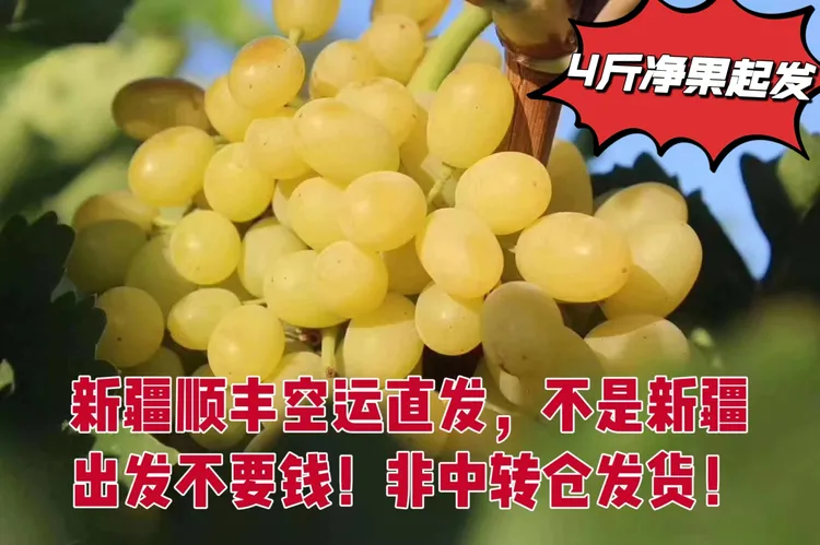 【顺丰空运】新疆吐鲁番正宗无核白葡萄无籽清甜当季新鲜水果