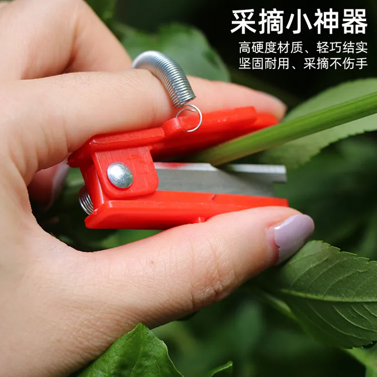 采摘小铡刀拇指刀葡萄掐尖黄瓜蔬菜打叶掐须采摘器小铡刀采摘小刀