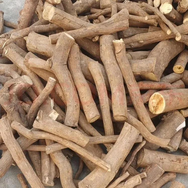 木姜子根树根香味浓郁千里香根香料新鲜木姜子根生鲜食品山胡椒根