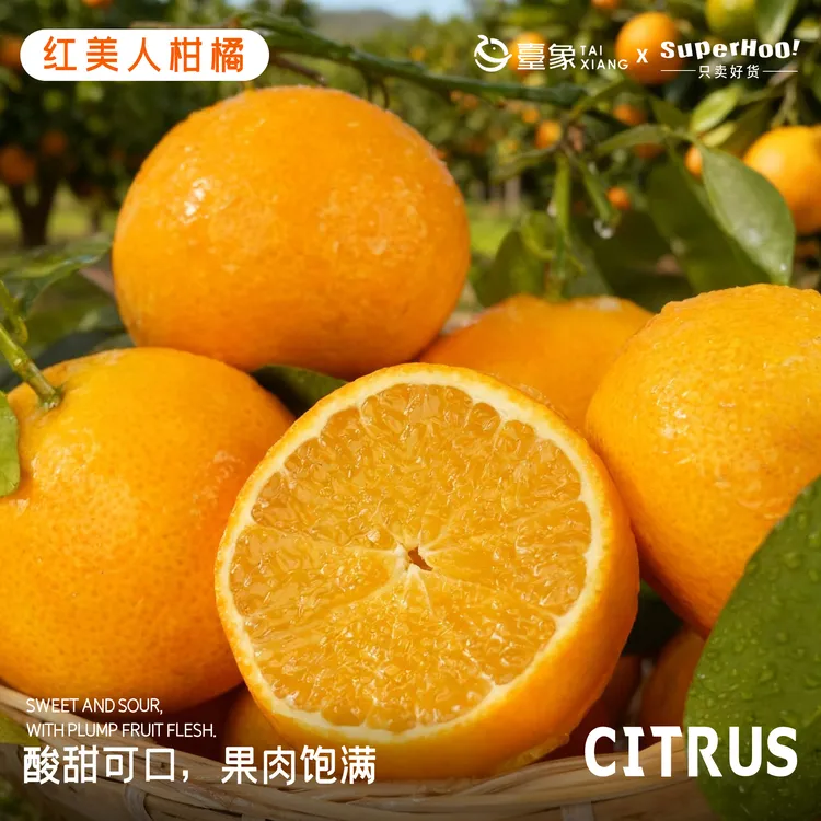 【严选品质】薹象红美人柑橘皮薄汁多超甜无渣无籽橘子新鲜水果整箱