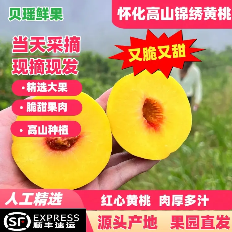 怀化高山锦绣黄桃新鲜果园现摘现发香甜多汁红心坏果包赔顺丰包邮