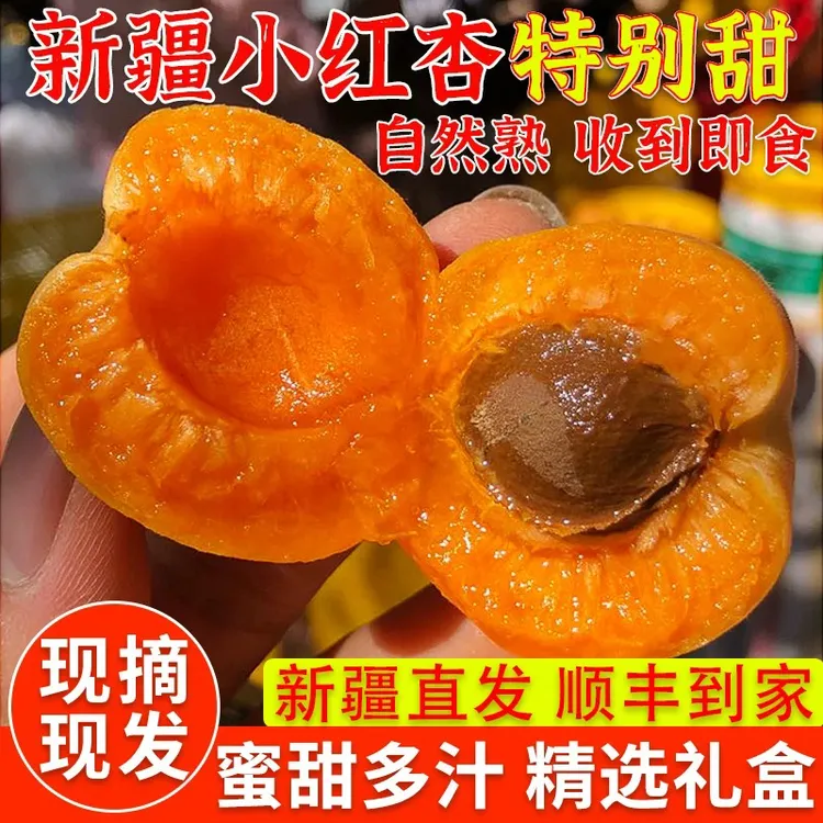 新疆小红杏吊干杏新鲜应季甜杏现摘孕妇水果顺丰包邮