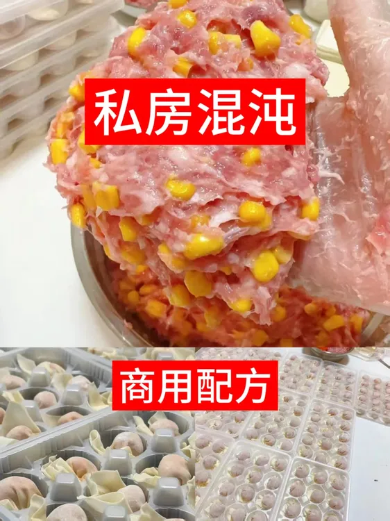 私房混沌商用技术配方馄饨半成品玉米私房馄饨鲜肉馄饨