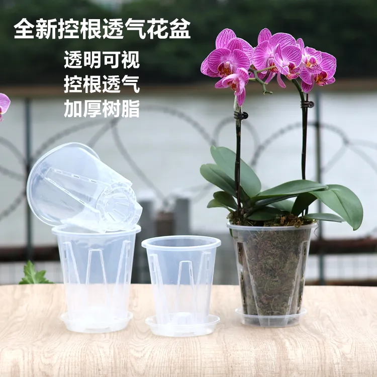 蝴蝶兰专用透明控根盆石斛种植兰花杯疏水透气育苗花钵拼组盆内篮