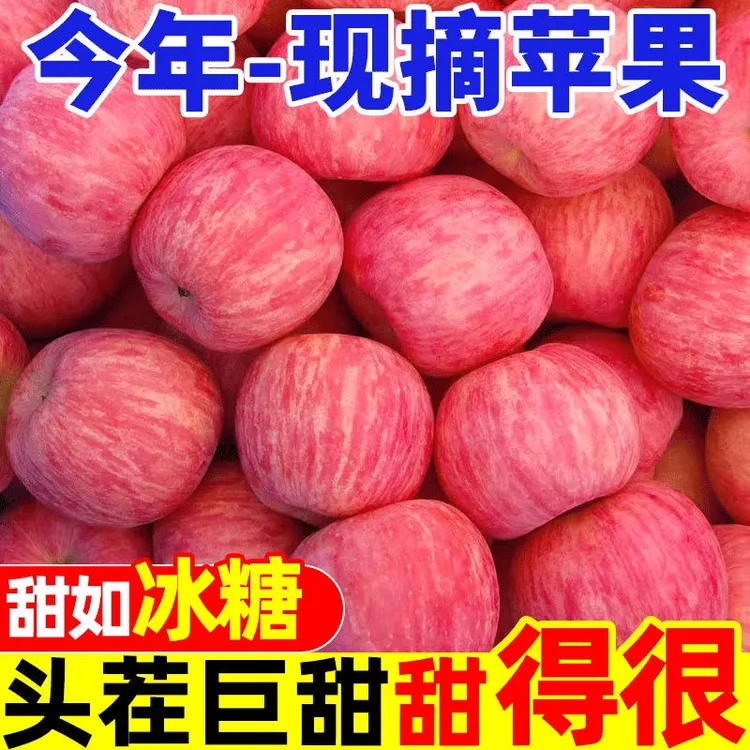 头茬红富士苹果新鲜当季应季水果脆甜多汁包邮