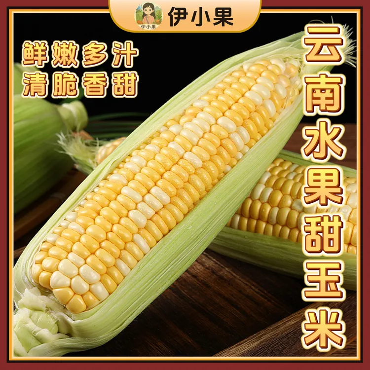 云南金银水果甜玉米