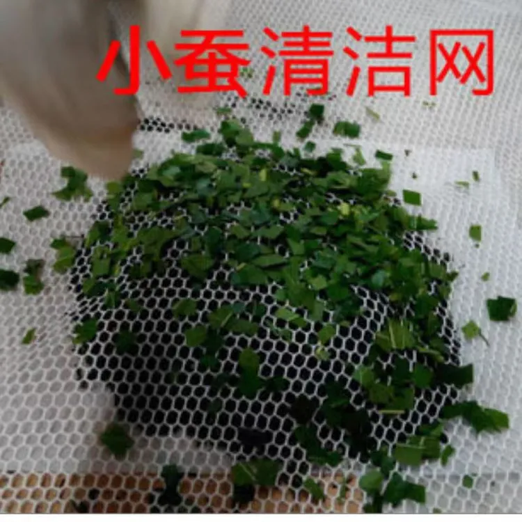 蚕宝宝清理网提沙网去沙网养蚕工具清洁网收蚁网小蚕专用网滤沙网