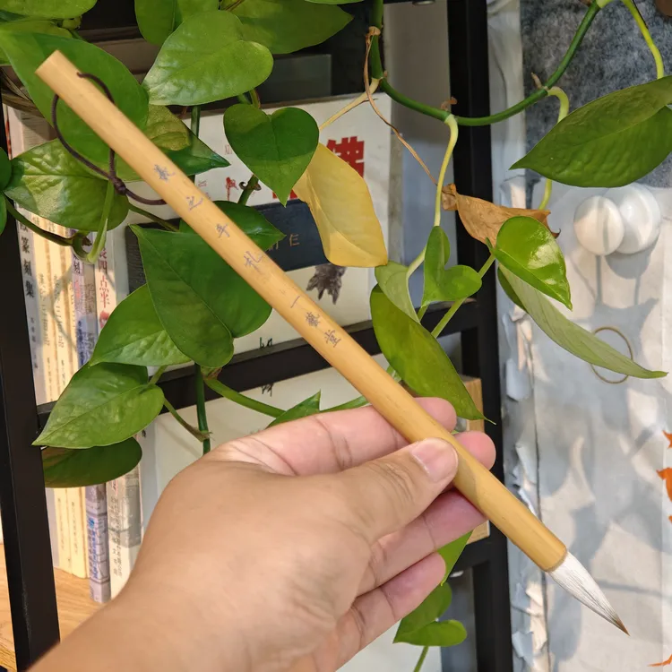 羲之手札笔头3.7㎝×0.95㎝培训班艺考生专用中楷毛笔弹性好五体通用