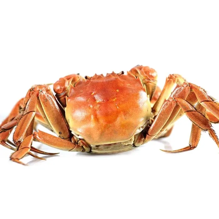 洪泽湖大闸蟹公4只3.2两起+母4只2.2两起=共8只