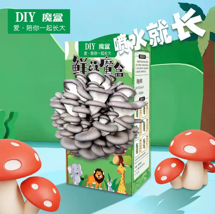 蘑菇种植菌包平菇蘑菇盒家庭室内种植蘑菇科学小实验益智玩具