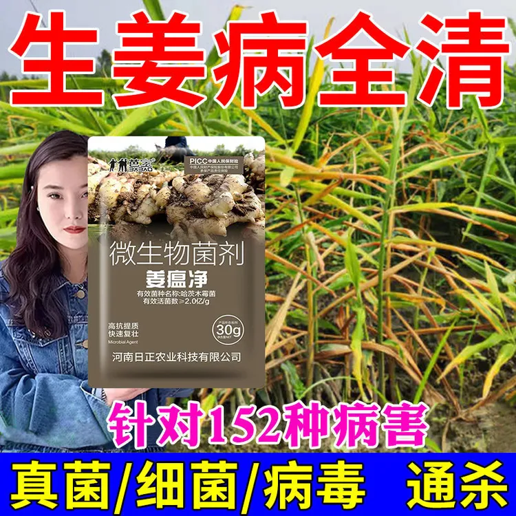 姜瘟净姜瘟特效药姜瘟灵生姜杀菌剂大姜烂脖子病茎基腐病杀菌剂