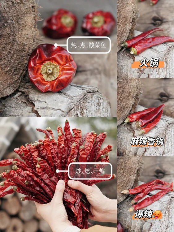 干辣椒   二荆条 炒菜/炖菜/麻辣香锅/火锅/辣卤/干锅调味品