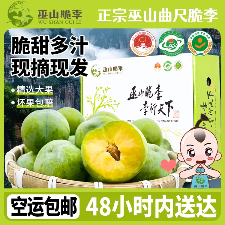 空运包邮巫山脆李曲尺核心产区黄心李子清脆脱骨48/60枚礼盒装