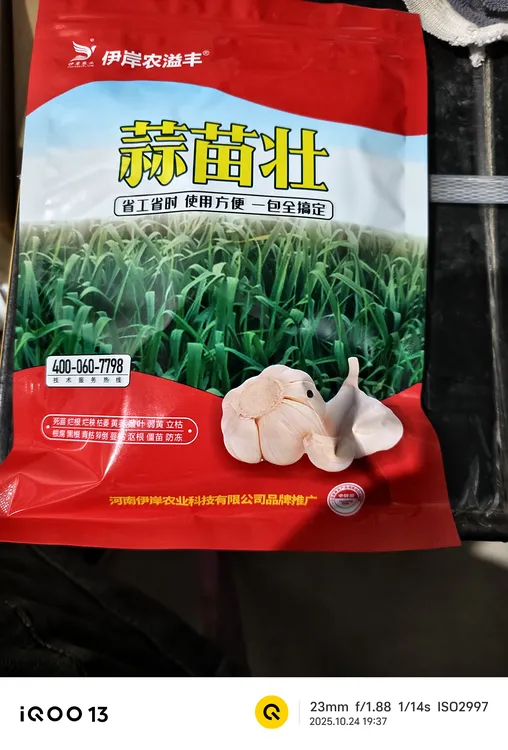 大蒜年前两遍管理