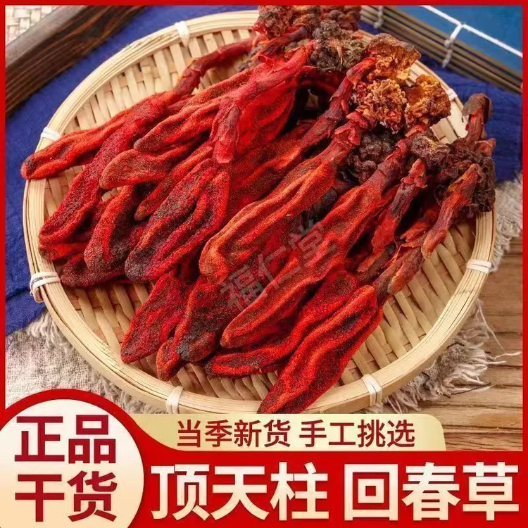 云南男士必备回春草煲汤泡茶泡酒回春草干货无添加新货回春草