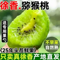 【果然百变】正宗周至徐香猕猴桃奇异果新鲜维C大果 彩箱蛋托送挖勺