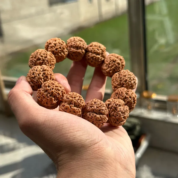 金刚菩提珠串老尼五号波斯普洱大金刚 尺寸可选