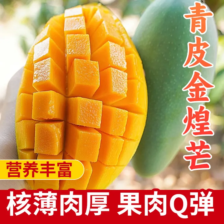 【百色青皮金煌芒】10斤装正宗广西芒果百色产地直发（催熟食用）jc