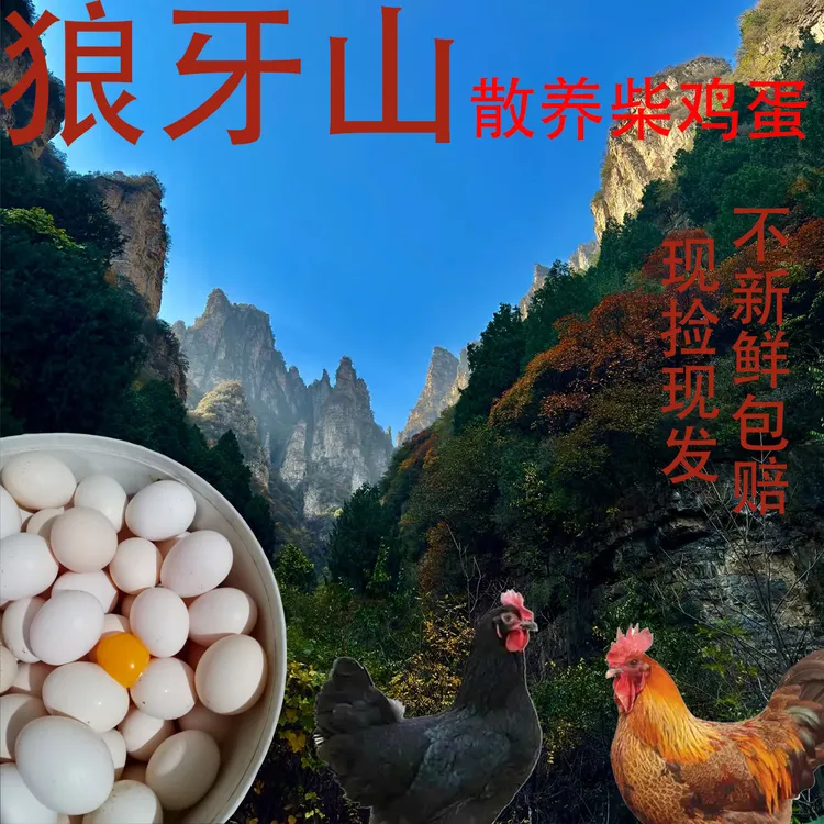 狼牙山人工自养食用柴鸡蛋50枚装散养五谷农家月子新鲜营养纯天然