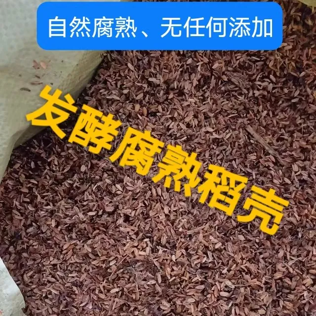 发酵腐熟稻壳清仓种花多肉君子兰松土营养腐熟稻壳发酵腐熟稻谷壳
