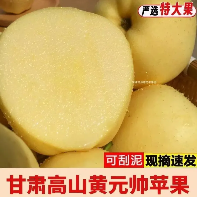 正宗甘肃天水秦安黄元帅当季水果现摘现发整箱包邮