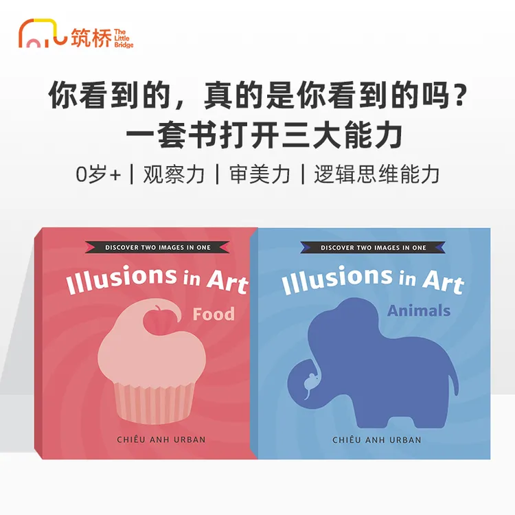 筑桥Illusions in Art 错觉艺术图画书