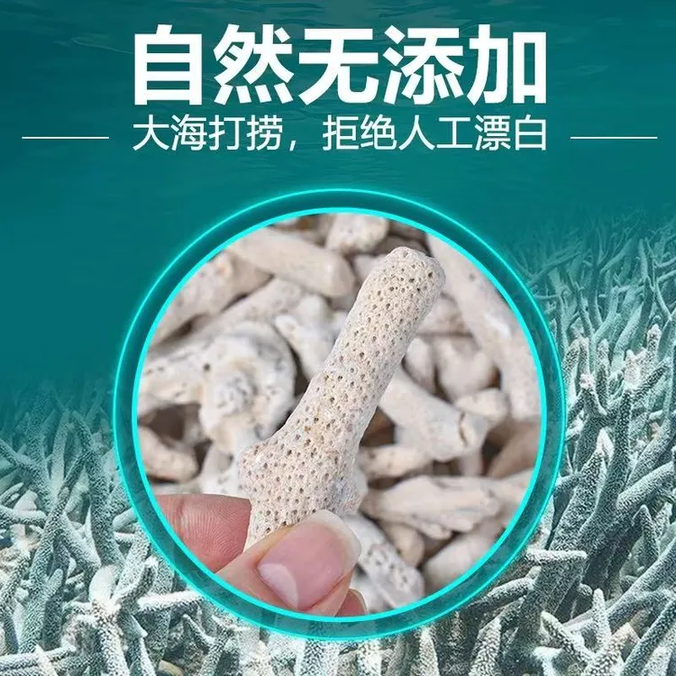 珊瑚骨滤材鱼缸过滤材料鱼池珊瑚石底砂水族箱造景沙稳定净化水质