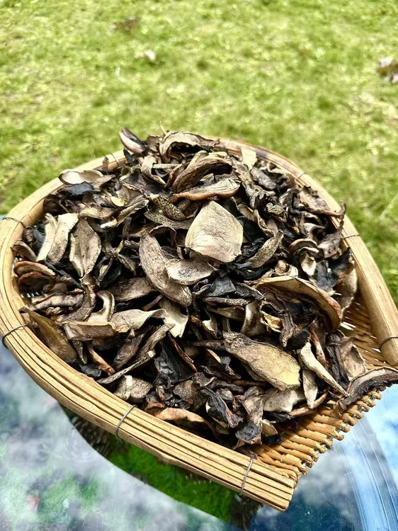 （牛肝菌）林芝高海拔山货 自然晾干 无熏无硫 煲汤佳品