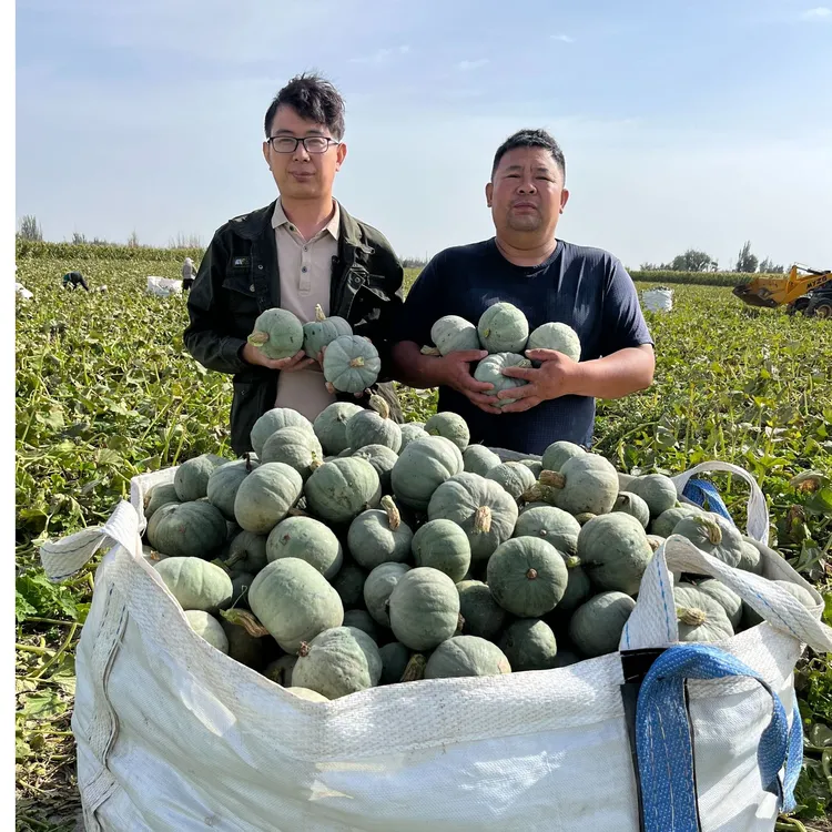 甘肃5斤银贝贝南瓜北纬38度2500小时光照瓜粉糯香甜适合宝宝辅食